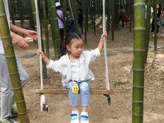 -陶祖圣境风景区