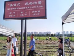 -汉长安城未央宫国家考古遗址公园