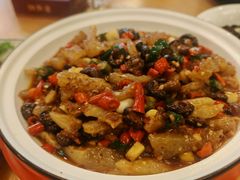 -陈麻婆豆腐总店