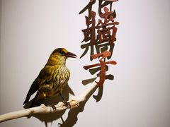 -城南往事(滨江世茂店)