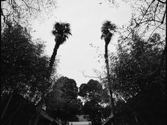 -南阳卧龙岗武侯祠