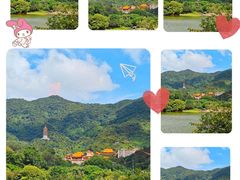 -深圳市中科院仙湖植物园