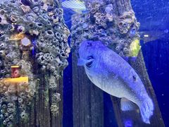 -成都浩海立方海洋公园