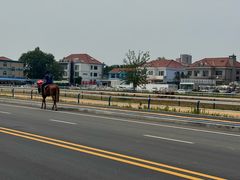 -养马岛旅游度假区