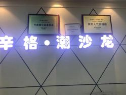 -辛格·潮沙龙