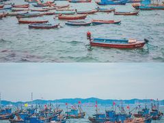 -海源公园