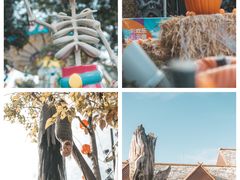 -七彩云南欢乐世界