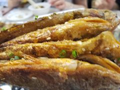 -古田会·肥肠鸡(古田店)