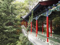 -白塔山公园