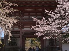 -醍醐寺