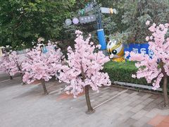 -北京石景山游乐园