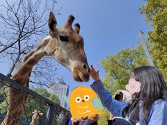 -荆州中山公园动物园