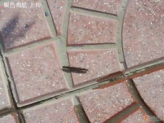 害怕吗-西瓜小镇