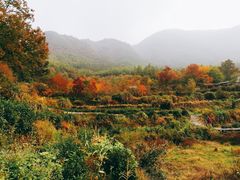 -塔川景区