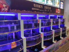 水产区-七欣天(浦东羽山乐坊店)