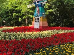 -上海共青森林公园