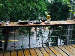 -Rainforest