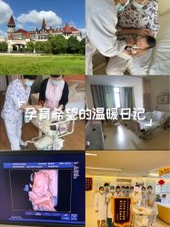 -上海美兰湖妇产科医院