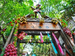 -西双版纳原始森林公园