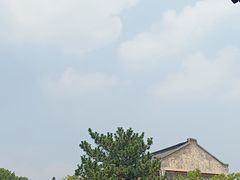 -观潮胜地公园