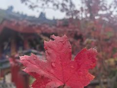 -九鼎铁刹山风景区
