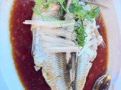 -宁波柏悦酒店·钱湖渔港