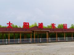 -呼兰河口湿地公园