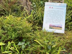 -腾冲洞山温泉村