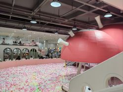 -宝燕乐园(春申店)