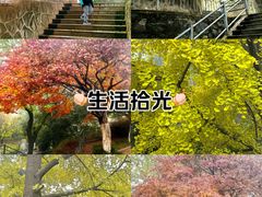 -西安市纺织公园