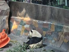 -青藏高原野生动物园