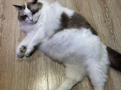 -白兔子密室(长寿路店)