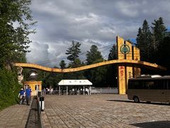 -五营红松林海景区