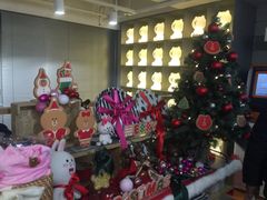 -line friends(明洞旗舰店)
