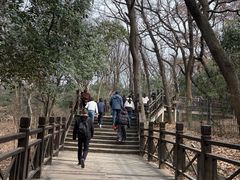 -紫金山山顶公园
