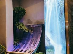 -洪氏嗨捞·猪肚鸡火锅(阳光天地店)