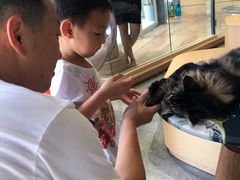 -瞄一喵猫咖(格力海岸店)