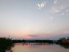 -上海长兴岛郊野公园