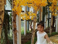 -大塘金香草谷