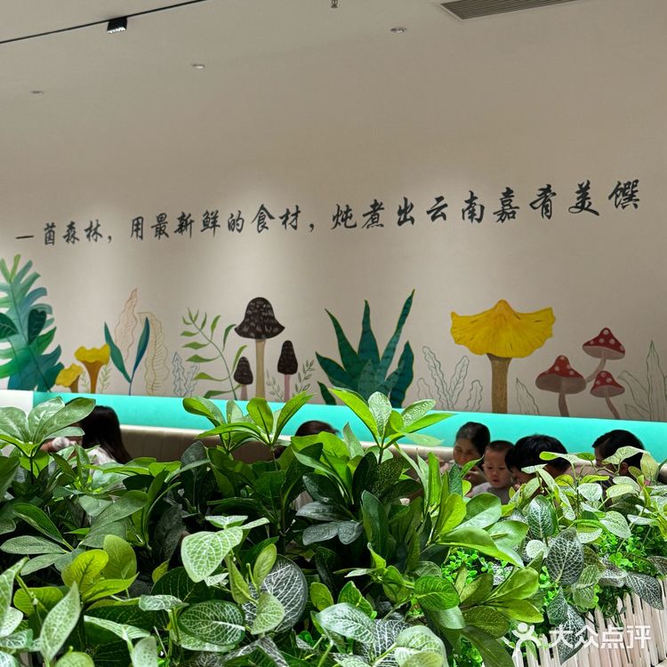 菌森林 | 一场穿越东南亚的味觉盛宴