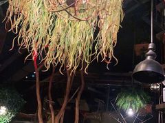 大堂-胡桃里音乐酒馆(环亚凯瑟琳广场店)