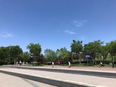 -丁香湖公园