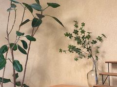 -白茶原·一片叶子