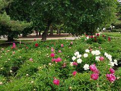 -长春公园(普阳街道)