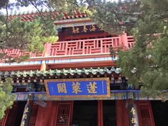 -蓬莱阁景区