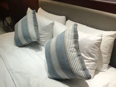 -常州环球恐龙城维景国际大酒店