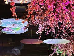 -韵秋荷(宝山龙湖天街店)