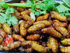 -正宗南铁拉叔沙煲螺·烧烤·秘制靓粥(南铁总店)