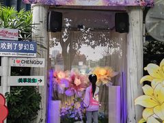 -南湖梦幻岛