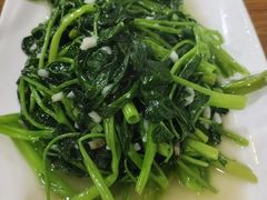 -大班家政月嫂育儿嫂(深圳NO.1店)